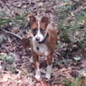 Meet your Posher, Reginald